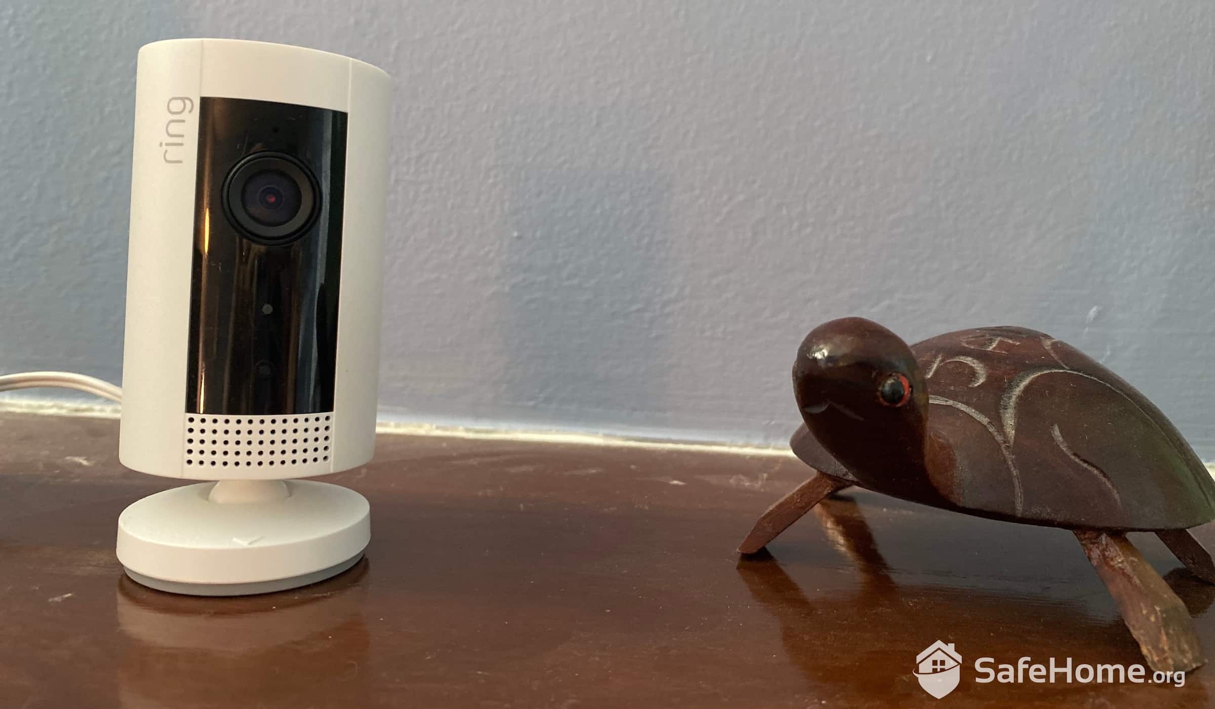 Ring Indoor Cam Review: It's Small, But Is It Spectacular?
